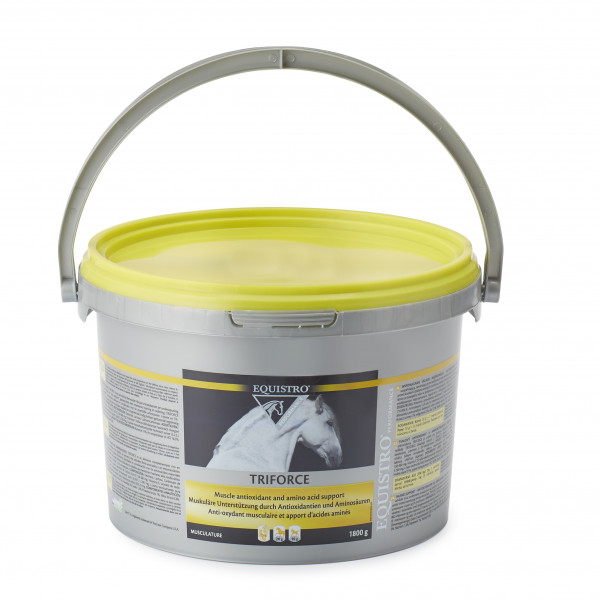 Equistro Triforce 1800g