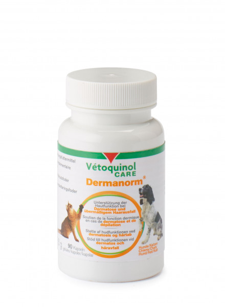 Dermanorm Care 90 Kapseln
