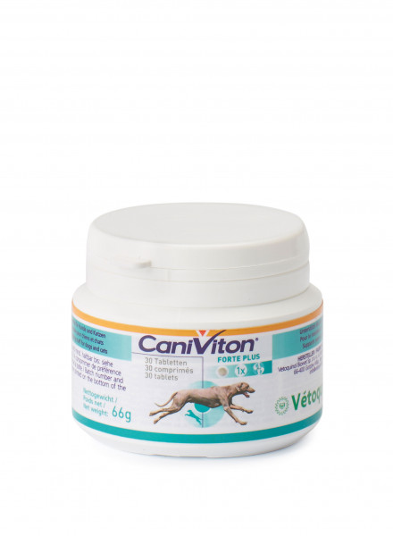 Caniviton Forte Plus